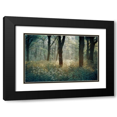 Foret De Black Modern Wood Framed Art Print with Double Matting by Van de Goor, Lars