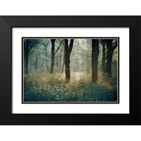 Foret De Black Modern Wood Framed Art Print with Double Matting by Van de Goor, Lars