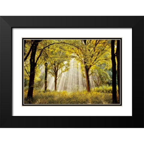 Dressed To Black Modern Wood Framed Art Print with Double Matting by Van de Goor, Lars