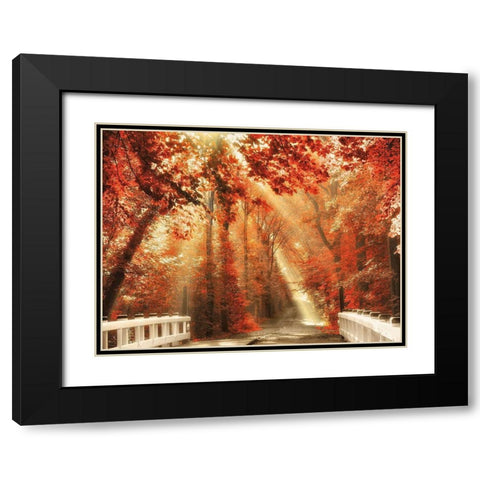 Red for Rest Black Modern Wood Framed Art Print with Double Matting by Van de Goor, Lars