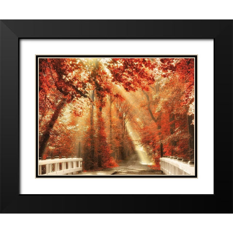 Red for Rest Black Modern Wood Framed Art Print with Double Matting by Van de Goor, Lars
