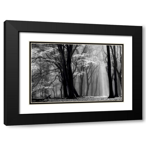 Winter is Coming Black Modern Wood Framed Art Print with Double Matting by Van de Goor, Lars