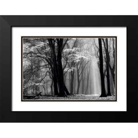 Winter is Coming Black Modern Wood Framed Art Print with Double Matting by Van de Goor, Lars