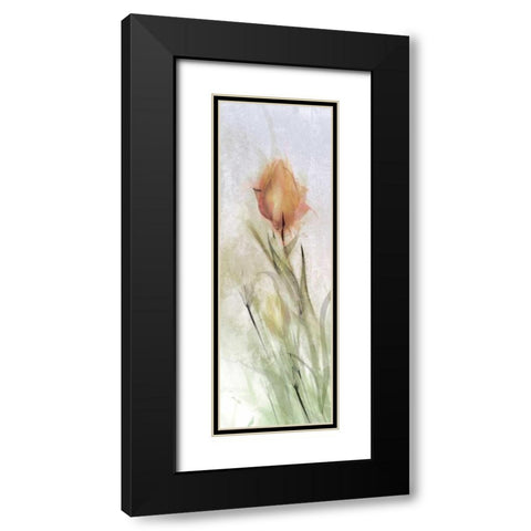 Tulip Breeze I Black Modern Wood Framed Art Print with Double Matting by Calascibetta, Mike