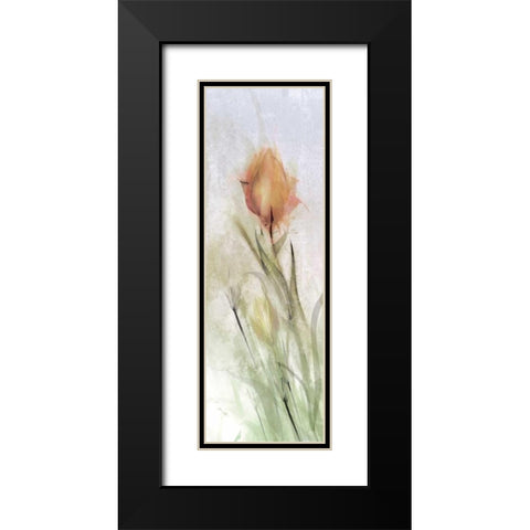 Tulip Breeze I Black Modern Wood Framed Art Print with Double Matting by Calascibetta, Mike