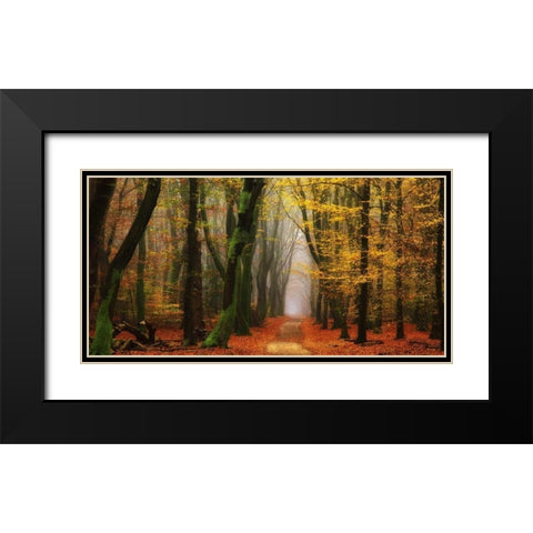 Shimmer Black Modern Wood Framed Art Print with Double Matting by Van de Goor, Lars
