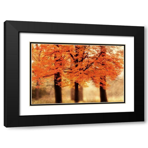 Three Trees Black Modern Wood Framed Art Print with Double Matting by Weisz, Irene
