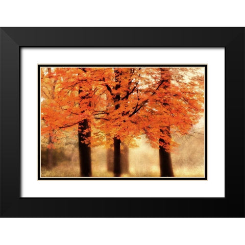 Three Trees Black Modern Wood Framed Art Print with Double Matting by Weisz, Irene