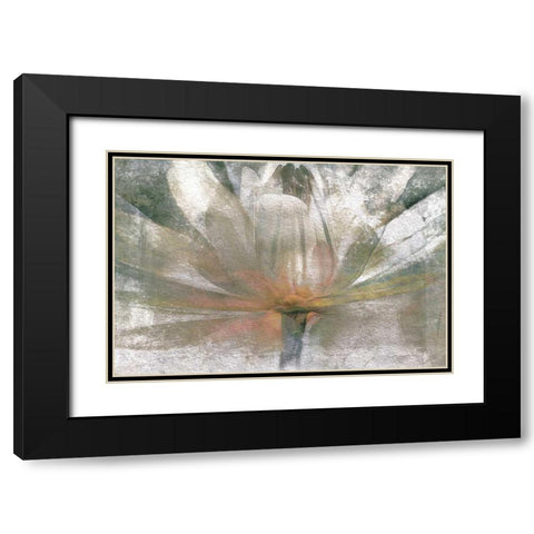 Lily Light Black Modern Wood Framed Art Print with Double Matting by Calascibetta, Mike