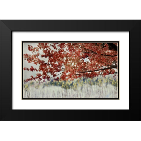 Sakura in the Lake II Black Modern Wood Framed Art Print with Double Matting by Weisz, Irene
