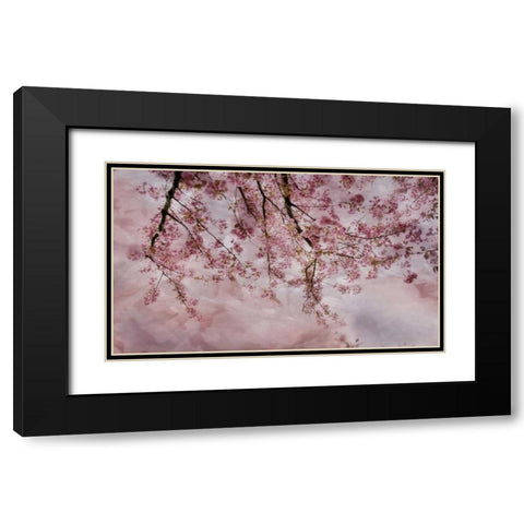 Joy of Spring Black Modern Wood Framed Art Print with Double Matting by Weisz, Irene