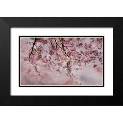 Joy of Spring Black Modern Wood Framed Art Print with Double Matting by Weisz, Irene