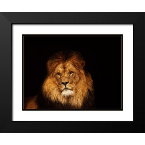 Look My Way Black Modern Wood Framed Art Print with Double Matting by Van de Goor, Lars