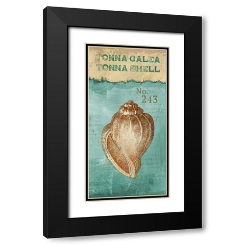 Tonna Shell Black Modern Wood Framed Art Print with Double Matting by Knutsen, Conrad