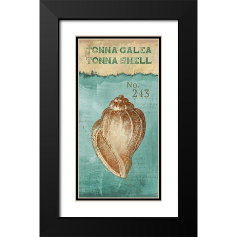 Tonna Shell Black Modern Wood Framed Art Print with Double Matting by Knutsen, Conrad