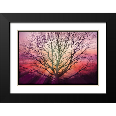 Sunburst Sentinel Black Modern Wood Framed Art Print with Double Matting by Weisz, Irene