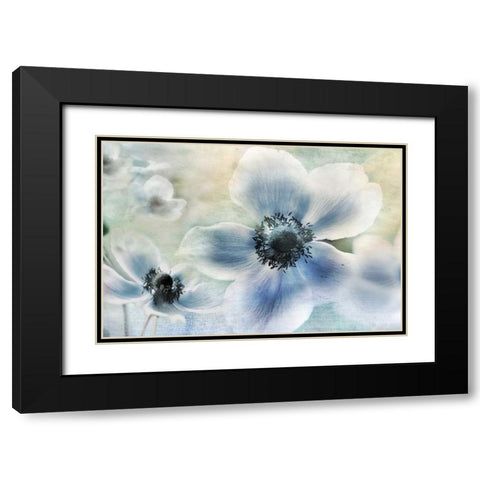 Anemone Cheer Black Modern Wood Framed Art Print with Double Matting by Weisz, Irene