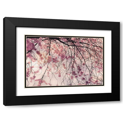 Spring Song Black Modern Wood Framed Art Print with Double Matting by Weisz, Irene