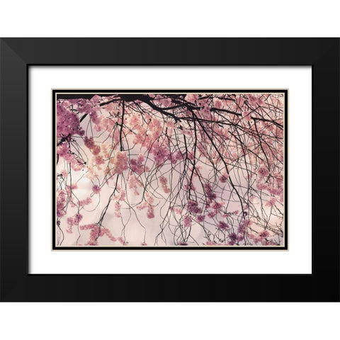 Spring Song Black Modern Wood Framed Art Print with Double Matting by Weisz, Irene