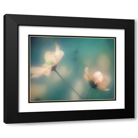 Blush Moment Black Modern Wood Framed Art Print with Double Matting by Delimont, Danita