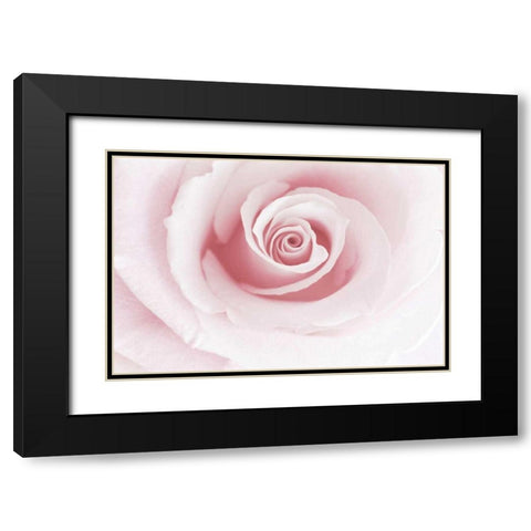 Rose Embrace Black Modern Wood Framed Art Print with Double Matting by Delimont, Danita