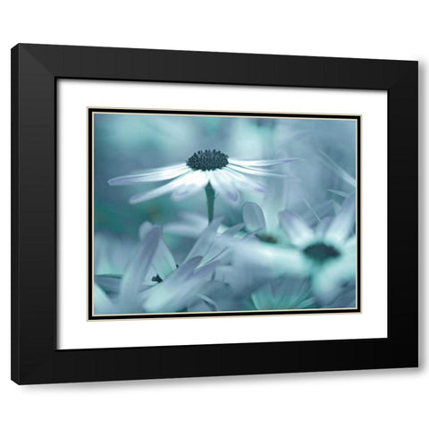 Moment in the Sun Black Modern Wood Framed Art Print with Double Matting by Delimont, Danita