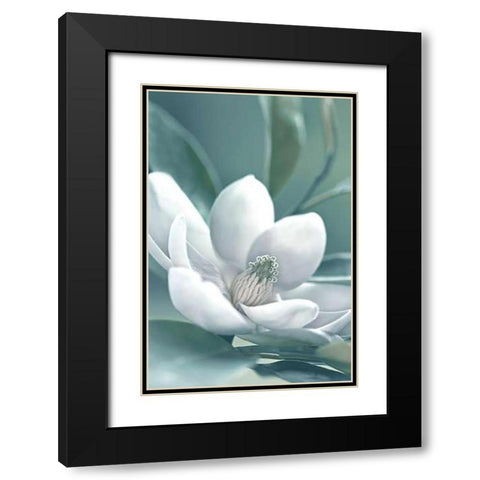 Magnolia Morning Black Modern Wood Framed Art Print with Double Matting by Delimont, Danita