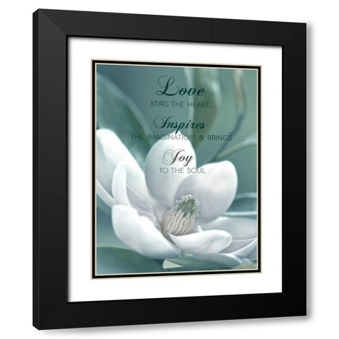 Joy To The Soul Black Modern Wood Framed Art Print with Double Matting by Delimont, Danita