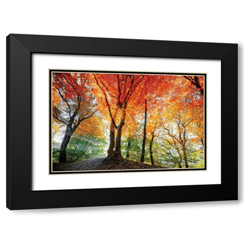 Prism of Light Black Modern Wood Framed Art Print with Double Matting by Van de Goor, Lars