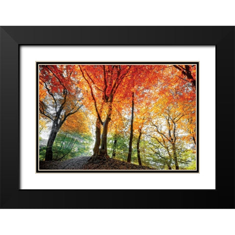 Prism of Light Black Modern Wood Framed Art Print with Double Matting by Van de Goor, Lars