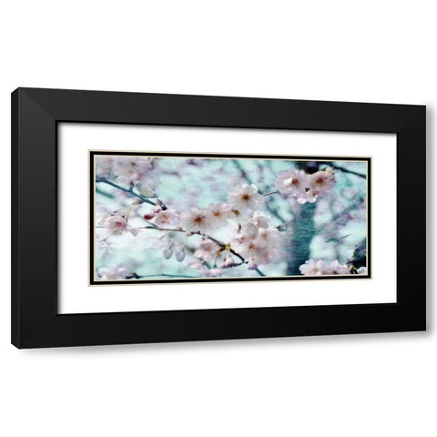 Butterflies and Black Modern Wood Framed Art Print with Double Matting by Weisz, Irene