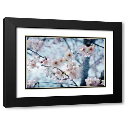 Flowering Joy Black Modern Wood Framed Art Print with Double Matting by Weisz, Irene