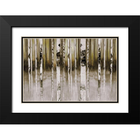 Fern Creek Black Modern Wood Framed Art Print with Double Matting by Jill, Susan
