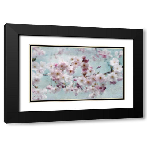 Scent of Spring Black Modern Wood Framed Art Print with Double Matting by Weisz, Irene