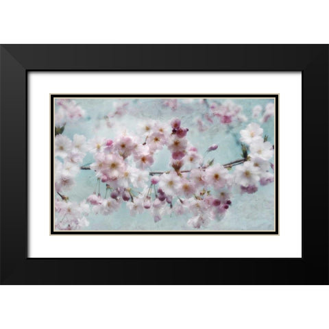 Scent of Spring Black Modern Wood Framed Art Print with Double Matting by Weisz, Irene