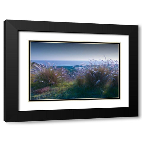 Above Mailbu Black Modern Wood Framed Art Print with Double Matting by Calascibetta, Mike