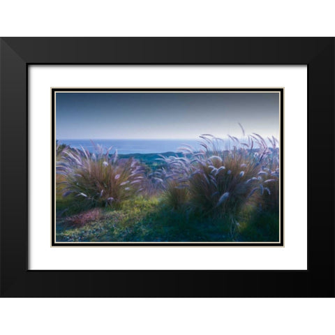 Above Mailbu Black Modern Wood Framed Art Print with Double Matting by Calascibetta, Mike