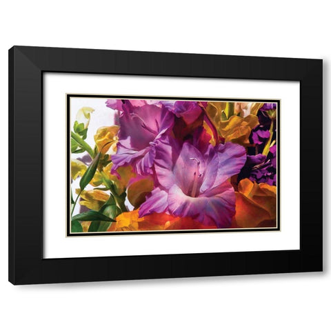 Anas Garden Black Modern Wood Framed Art Print with Double Matting by Calascibetta, Mike