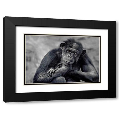 Captivated Black Modern Wood Framed Art Print with Double Matting by Delimont, Danita