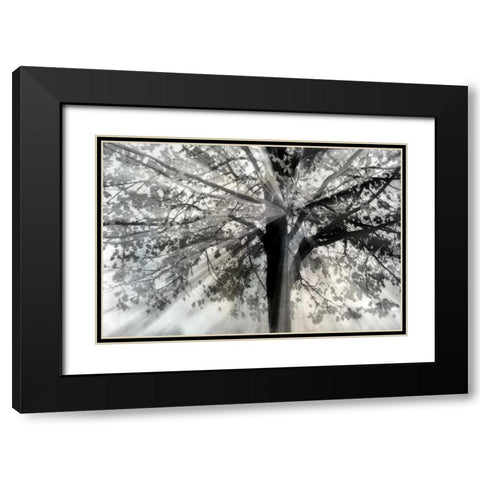Story From Light and Black Modern Wood Framed Art Print with Double Matting by Weisz, Irene