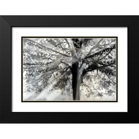 Story From Light and Black Modern Wood Framed Art Print with Double Matting by Weisz, Irene