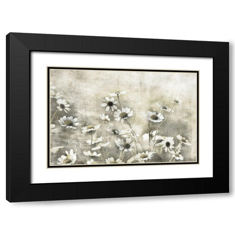 Wild Daisy Meadow I Black Modern Wood Framed Art Print with Double Matting by Weisz, Irene