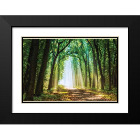 Curtain of Black Modern Wood Framed Art Print with Double Matting by Van de Goor, Lars
