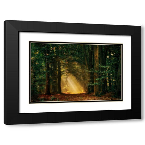 Shine On Black Modern Wood Framed Art Print with Double Matting by Van de Goor, Lars