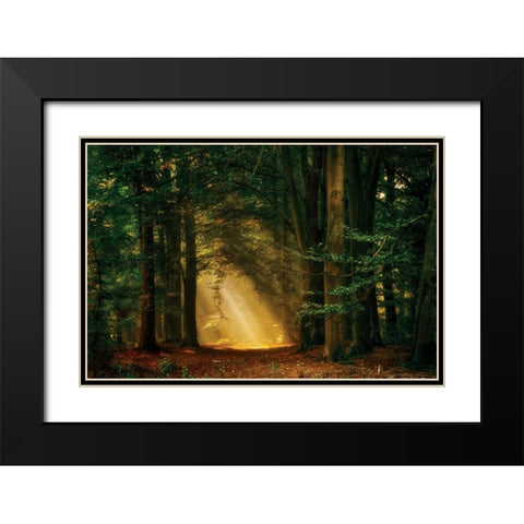 Shine On Black Modern Wood Framed Art Print with Double Matting by Van de Goor, Lars