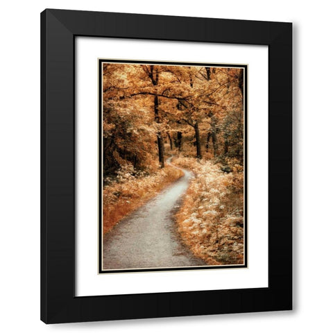 Winding Path Black Modern Wood Framed Art Print with Double Matting by Van de Goor, Lars