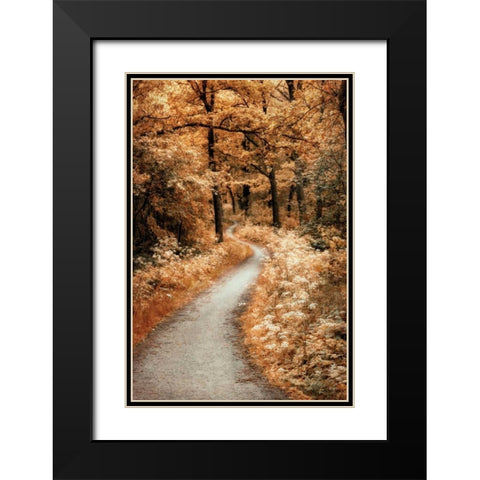 Winding Path Black Modern Wood Framed Art Print with Double Matting by Van de Goor, Lars