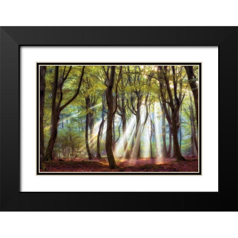 Majestic Black Modern Wood Framed Art Print with Double Matting by Van de Goor, Lars