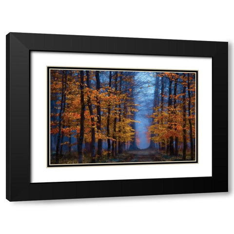 The Path of Black Modern Wood Framed Art Print with Double Matting by Van de Goor, Lars