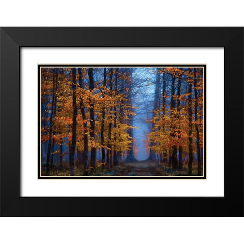 The Path of Black Modern Wood Framed Art Print with Double Matting by Van de Goor, Lars